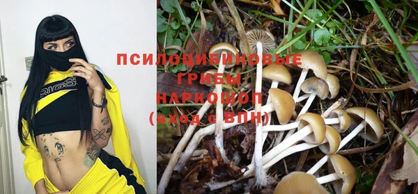 мдпв Горнозаводск