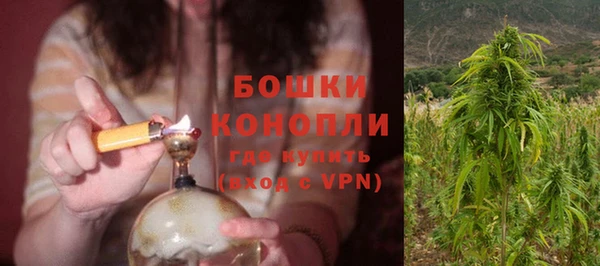 мдпв Горнозаводск