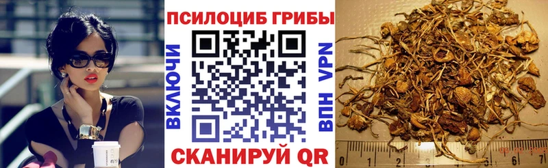 Купить  Удомля  Галлюциногенные грибы Cubensis 